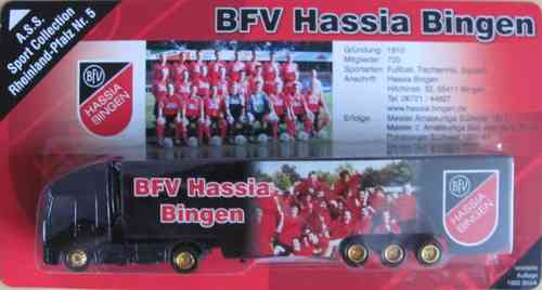 BFV Hassia Bingen Nr. - Iveco Stralis - Sattelzug