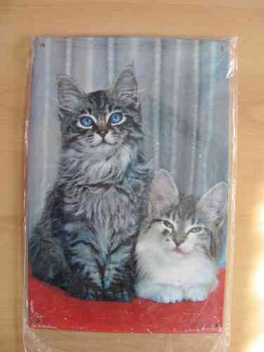 2 Katzen - Blechschild